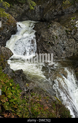 WASHINGTON - Kaskade am Fluss Wallace zwischen den Upper Falls und nahen Wallace fällt in Wallace Falls State Park. Stockfoto