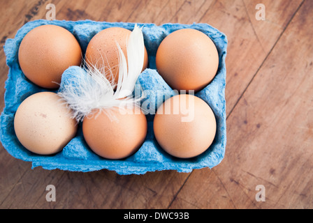 Stillleben mit sechs braunen Eiern in blauen Eierkarton Stockfoto