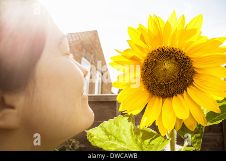Nahaufnahme von Reife Frau und Sonnenblume Stockfoto