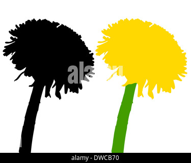 Löwenzahn Stockfoto