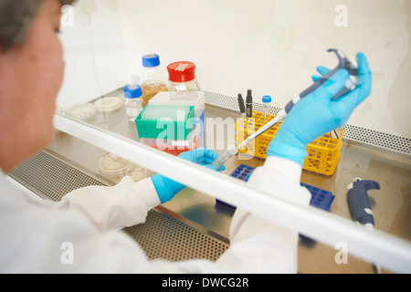 Wissenschaftlerin Pipettieren Probe in Reagenzglas Stockfoto