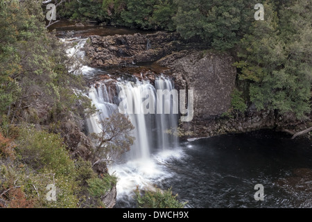 Pencil Pine Wasserfall, Cradle Mountain National Park, Tasmanien, Australien Stockfoto