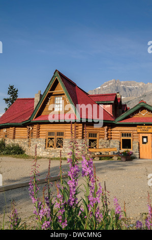 NUM-Ti-Jah Lodge, Weidenröschen, Bow Lake, Banff Nationalpark, Alberta, Kanada Stockfoto