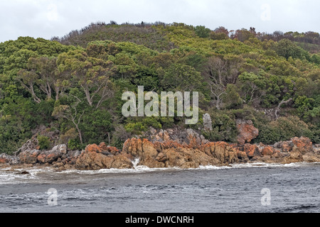 Hells Gates, Macquarie Harbour, Strahan, Tasmanien, Australien Stockfoto