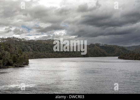 Gordon River, gemäßigter Regenwald, Strahan, Tasmanien, Australien Stockfoto