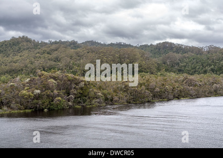 Gordon River, gemäßigter Regenwald, Strahan, Tasmanien, Australien Stockfoto
