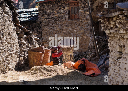 Tibetische Frau sieben Getreide im Dorf von Lho, Nepal. Stockfoto