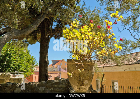 Blick aus dem Garten des Schlosses von Lissabon oder Castelo De São Jorge I, im Stadtteil Alfama, Lissabon, Portugal. Stockfoto