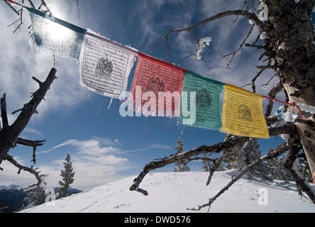 Monarch, Colo, USA. 5. März 2014. 04.03.2014 Monarch, Colorado USA. Tibetische Gebetsfahnen fliegen zwischen zwei Bäumen an der Spitze der Monarch Crest in Colorado. Backcountry Skifahrer steigen die alte Passstrasse Monarch um Monarch Crest für befahrbaren Gelände entlang der kontinentalen Wasserscheide direkt an der Autobahn 50 auf Monarch Pass in Colorado zu gelangen. © Ralph Lauer/ZUMAPRESS.com/Alamy Live-Nachrichten Stockfoto