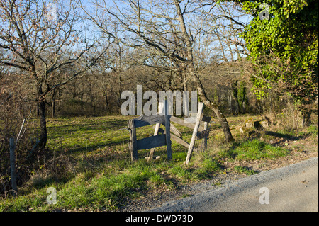 Stil in das Feld eines Bauern in der Nähe von La Contie, Najac, Aveyron, Royal, Frankreich, Europa im Frühling Stockfoto