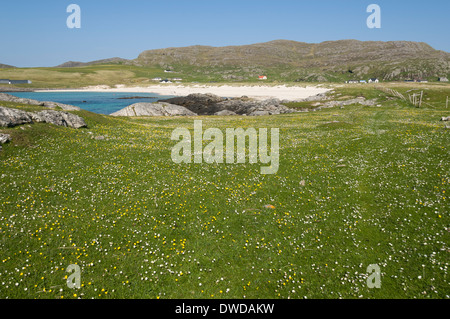 Machair bei Halaman Bay, Tangasdale, Isle of Barra, Western Isles, Scotland, UK Stockfoto