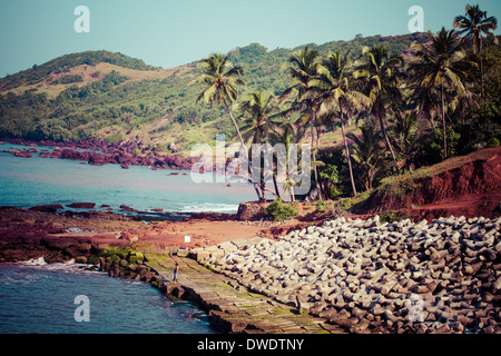 Beenden von Anjuna nass Panorama Strand bei Ebbe mit weißen Sand und grünen Kokospalmen, Goa, Indien Stockfoto