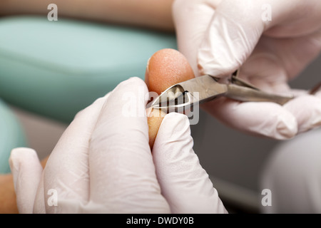 Nahaufnahme der Fußpflegerin kümmert sich Frau Fuß Stockfoto