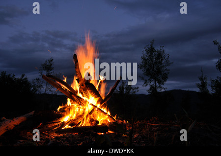 Freudenfeuer, Lagerfeuer im Wald, Dämmerung Stockfoto