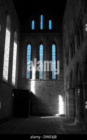 Brinkburn Priory, Northumberland England UK Stockfoto