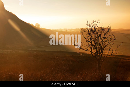 Frühen Morgenlicht auf die Kakerlaken in der Nähe von Lauch in Staffordshire, UK Stockfoto