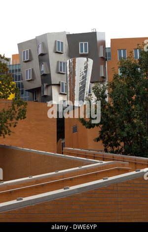 Schrullige Architektur von Ray und Maria Stata Zentrum MIT (Massachusetts Institute of Technology) in Boston, USA Stockfoto