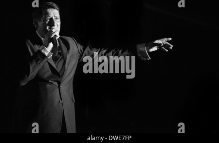 Tony Hadley live auf Chilfest 2013, Tring, Hertfordshire Stockfoto