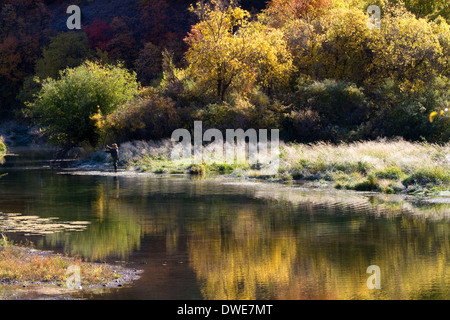 Ein Angler Fliegenfischen am Logan River in Logan Canyon in Utah. Stockfoto