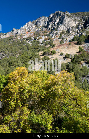 Die Bear River Mountains in Logan Canyon in Utah. Stockfoto