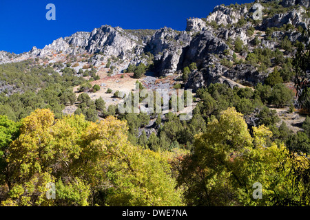 Die Bear River Mountains in Logan Canyon in Utah. Stockfoto