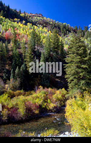 Herbstfarbe entlang des Flusses Logan Logan Canyon, Utah, USA. Stockfoto