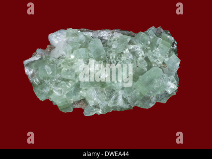 Grüne Apophyllite Mineral Poona Indien Stockfoto