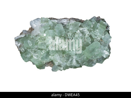 Grüne Apophyllite Mineral Poona Indien Stockfoto