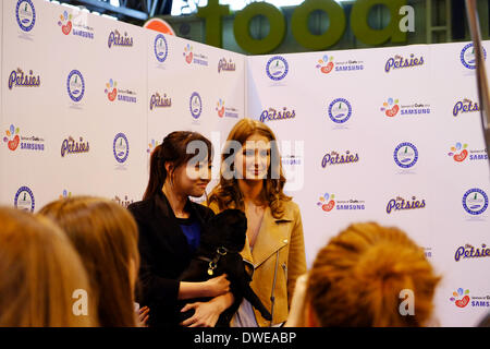 Birmingham, Vereinigtes Königreich. 6. März 2014. Crufts 2014 Hundeausstellung im NEC national Exhibition Centre Birmingham UK England Tag eines der führenden Hundeausstellung und Wettbewerb. Bildnachweis: Paul Thompson News Live /Alamy Live-Nachrichten Stockfoto