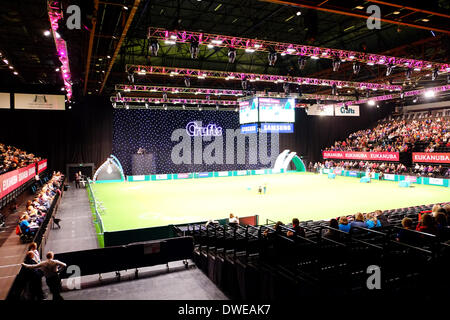 Birmingham, Vereinigtes Königreich. 6. März 2014. Crufts 2014 Hundeausstellung im NEC national Exhibition Centre Birmingham UK England Tag eins der führenden Dog Show und Competitioninside Hauptarena. Bildnachweis: Paul Thompson News Live /Alamy Live-Nachrichten Stockfoto