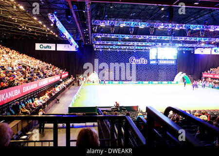 Birmingham, Vereinigtes Königreich. 6. März 2014. Crufts 2014 Hundeausstellung im NEC national Exhibition Centre Birmingham UK England Hauptarena Massen vom ersten Tag steht der erste Hundeausstellung und Konkurrenz beobachten. Bildnachweis: Paul Thompson News Live /Alamy Live-Nachrichten Stockfoto