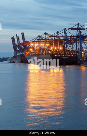 Container Terminal Burchardkai, Hafen, Hamburg, Deutschland Stockfoto