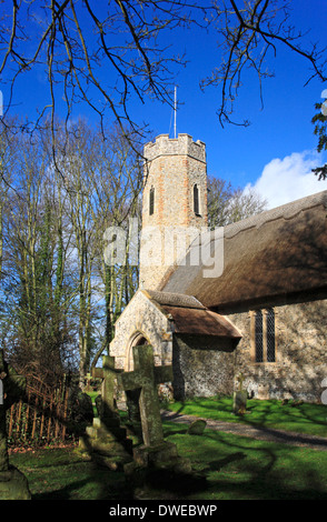 Ein Blick auf das Südportal, Schiff und Turm der Pfarrkirche Kirche von Allerheiligen bei Horsey, Norfolk, England, Vereinigtes Königreich. Stockfoto