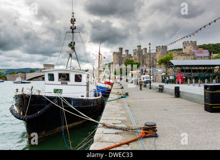 Angelboote/Fischerboote vertäut im Hafen entlang der unteren Tor Street mit Conwy Castle in der Ferne, Conwy, North Wales, UK Stockfoto