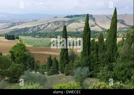 Blick über das Val d ' Orcia, von La Foce, Toskana, Italien Stockfoto