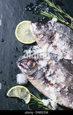 Draufsicht auf Schlepptau Dorado Rohfisch mit Rosmarin, Kalk und Eis über schwarzem Stein. Stockfoto