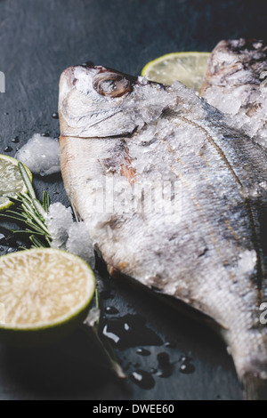 Nahaufnahme von Dorado Rohfisch mit Rosmarin und Kalk unter Eis über schwarzem Stein. Stockfoto