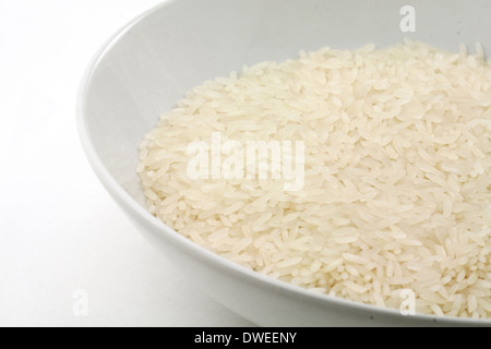 weißer Reis hautnah Stockfoto