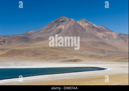 Laguna Miscanti, Atacama-Wüste Stockfoto