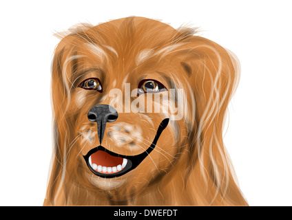 Golden Retriever isoliert auf weißem Hintergrund Stockfoto