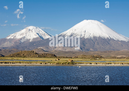 Vulkanen Parinacota und Pomerape Stockfoto