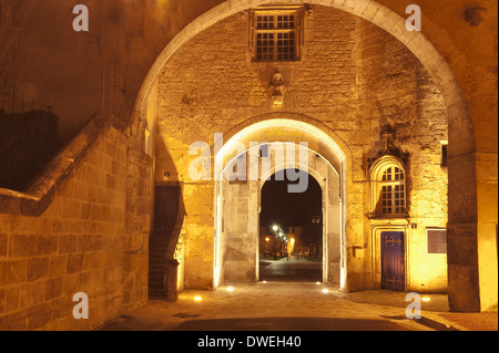 Eingang der Burg von Jonzac, Haute-Saintonge, Charente-Maritime, Frankreich Stockfoto