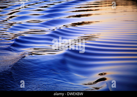 Wellen im Zuge von einem Ponton-Boot bei Sonnenuntergang auf Whitewood See, Teil der Huron River-Kette von Seen, Michigan, USA Stockfoto