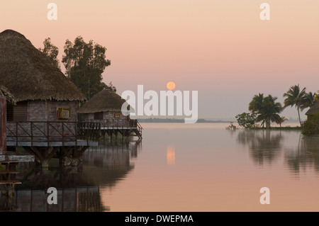 Laguna del Tesoro, Zapata Halbinsel Stockfoto