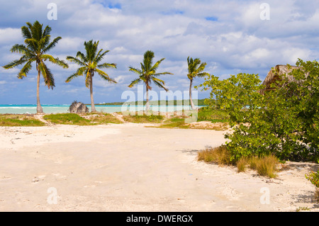 Cayo Las Brujas, Remedios Stockfoto