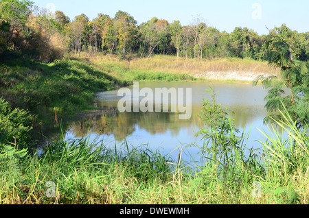 tropische See in Chiang Mai, Thailand Stockfoto