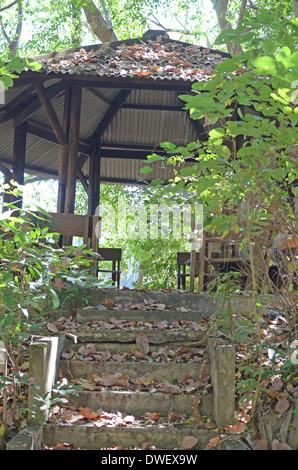 Laube im Wald Stockfoto