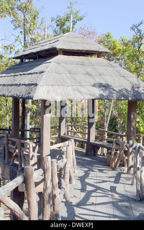 Waldhaus und Holzbrücke Stockfoto