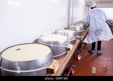 Parmigiano Reggiano Käse Hersteller Fabrik in Baganzolino, Parma, Emilia Romagna, Italien Stockfoto