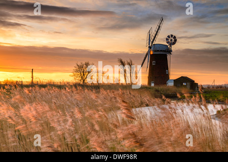 Früh morgens Sonnenaufgang auf den Norfolk Broads bei Horsey Mill, East Anglia, UK. Stockfoto